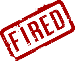 Expériences de Partenaires Développeurs XR