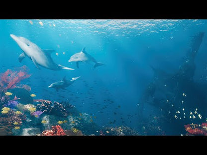 Voyager à travers le monde, les villes et le temps